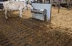 Image sur ABREUVOIR INOX 1,90m