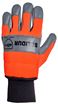 Image sur GANTS CEDRE CLASSE 1
